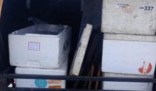 Secretário do Meio Ambiente de Imbé é Flagrado em Possível Irregularidade no Beneficiamento de Pescado