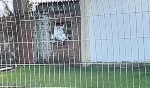 Homem Morre ao Tentar Roubar Igreja e Ficar Pendurado em Janela em Tramandaí