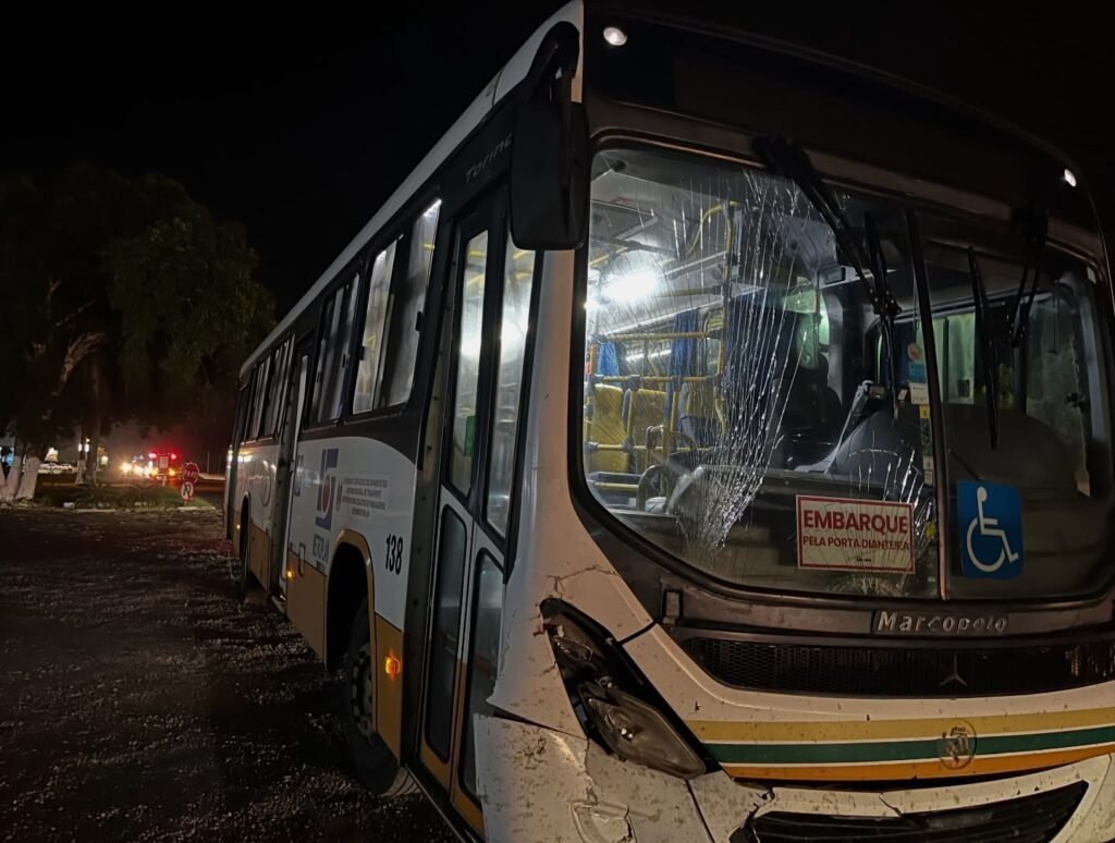&Ocirc;nibus atropela cavalo na Estrada do Mar em Os&oacute;rio