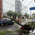 Árvore cai e atinge carro na Zona Norte de Porto Alegre