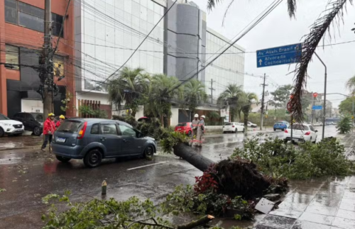 Árvore cai e atinge carro na Zona Norte de Porto Alegre