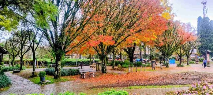 Nova Petr&oacute;polis Convida Visitantes para Viver o Charme do Outono na Cidade Mais Acolhedora da Serra Ga&uacute;cha