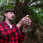 Temporada do Porcini: Caçada de Cogumelos destaca a riqueza e o potencial gastronômico dos ingredientes da Serra Gaúcha
