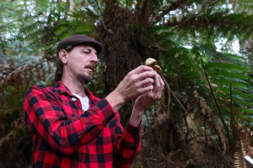 Temporada do Porcini: Caçada de Cogumelos destaca a riqueza e o potencial gastronômico dos ingredientes da Serra Gaúcha
