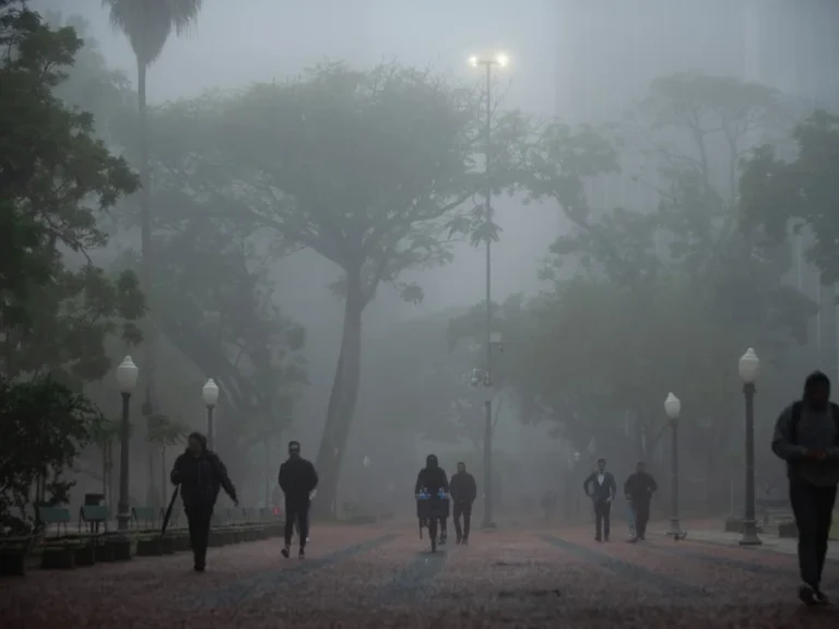 RS terá domínio de céu nublado e nevoeiro nesta Quarta-feira 17 26052026 neblina 8731