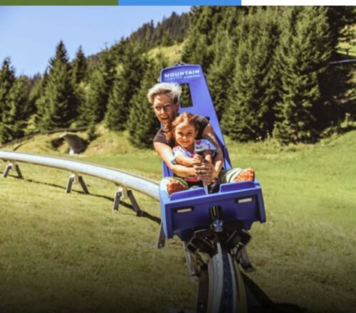 O Alpen Park, em de Canela, acaba de receber o Novo Mountain Coaster, importado da Áustria