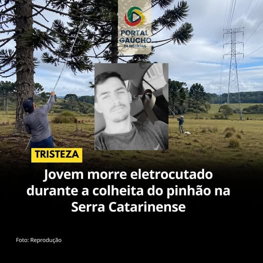 Jovem morre eletrocutado durante colheita de pinh&atilde;o, em S&atilde;o Joaquim, SC