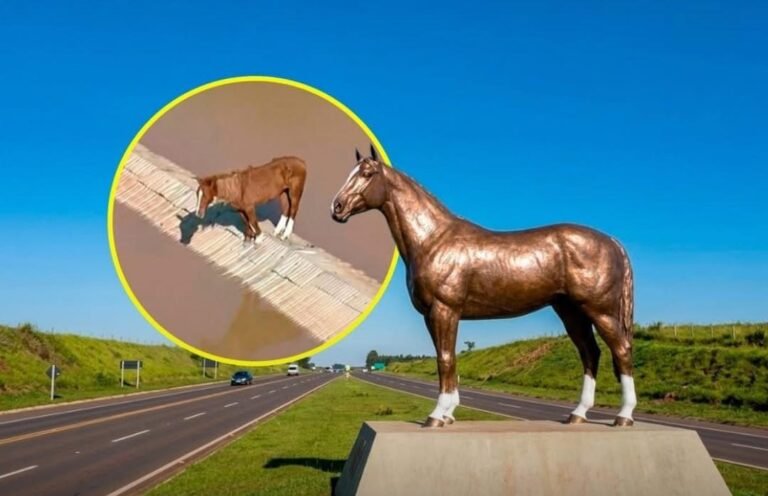 Estátua do Cavalo Caramelo será Instalada e vai virar Símbolo de Resistência no RS 9 700430873 1684782499647963 2316203587297785860 n e1779067637731