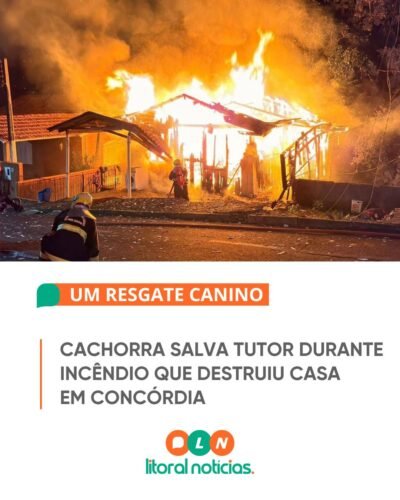 Cachorra Salva Tutor Durante Incêndio que Destruiu Casa em Concórdia 2 700506742 1685647149561498 3294753496538476306 n