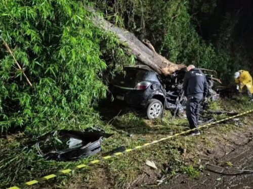 Violenta colisão contra árvore mata duas pessoas na ERS-130 em Lajeado 6 710316538 788777844202762 4874254877497400922 n