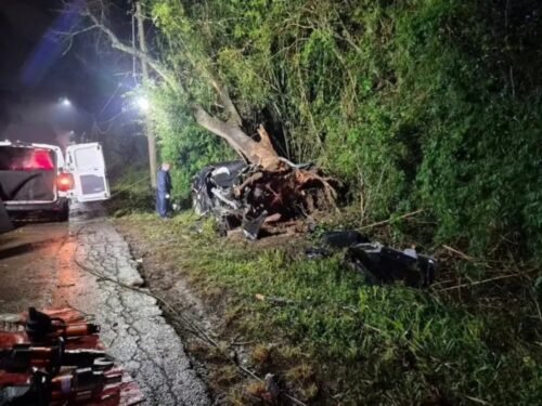 Violenta colisão contra árvore mata duas pessoas na ERS-130 em Lajeado 5 710424275 2257704344966257 6268179406223791311 n