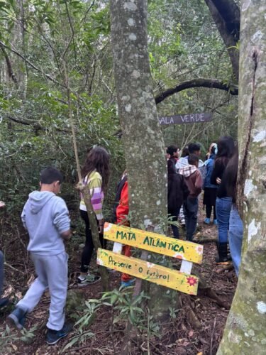 SEMANA DE MEIO AMBIENTE DE OSÓRIO RECOLHE CERCA DE 4 TONELADAS DE LIXO ELETRÔNICO E MAIS DE 60 MIL TAMPINHAS 38 714164676 1442248654610364 6916558726935125748 n