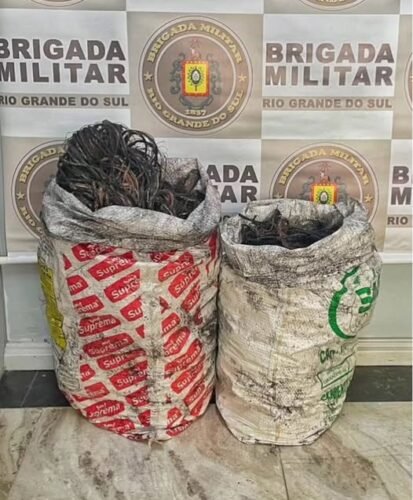 Brigada Militar prende dupla por furto de fios e cabos e crime ambiental em Osório