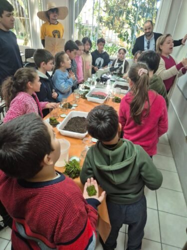 SEMANA DE MEIO AMBIENTE DE OSÓRIO RECOLHE CERCA DE 4 TONELADAS DE LIXO ELETRÔNICO E MAIS DE 60 MIL TAMPINHAS 64 716490091 1442248851277011 7430005843590426432 n
