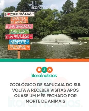 Zoológico de Sapucaia do Sul volta a Receber Visitas após quase Um Mês Fechado por Morte de Animais 3 722163711 1710917397034473 1773701865699071212 n