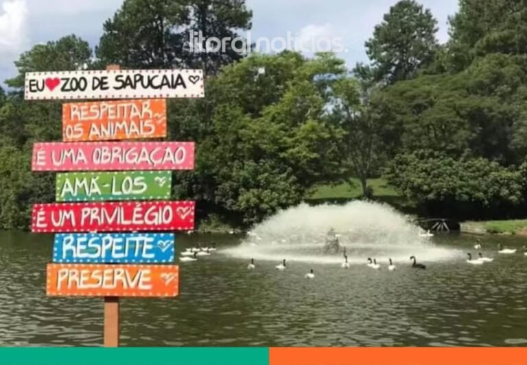 Zoológico de Sapucaia do Sul volta a Receber Visitas após quase Um Mês Fechado por Morte de Animais 2 722163711 1710917397034473 1773701865699071212 n e1781407355767