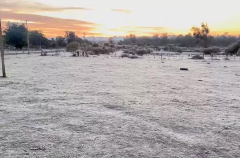 O Rio Grande do Sul teve uma Terça-feira (16) marcada pelo Frio Intenso, consequência da atuação de uma Massa de Ar Polar que avançou sobre o Estado