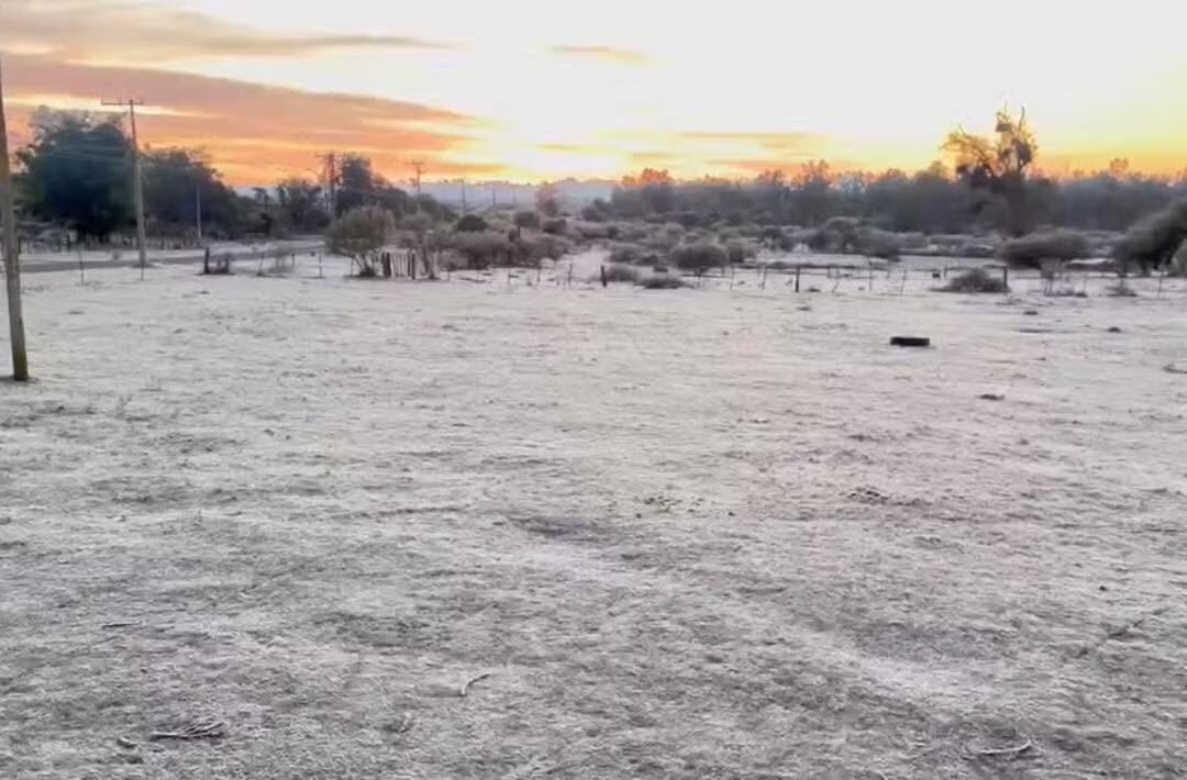 O Rio Grande do Sul teve uma Terça-feira (16) marcada pelo Frio Intenso, consequência da atuação de uma Massa de Ar Polar que avançou sobre o Estado 2 723821452 1603568098437565 4747676372338899537 n e1781661212660