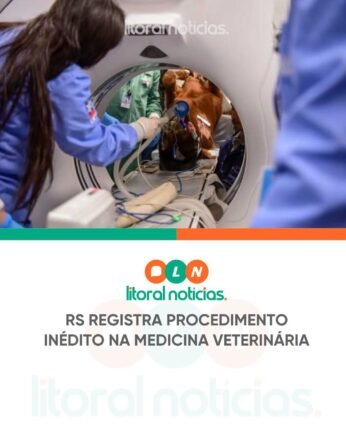 RS registra Procedimento Inédito na Medicina Veterinária 2 730570345 1490664409055348 5767858081780152534 n