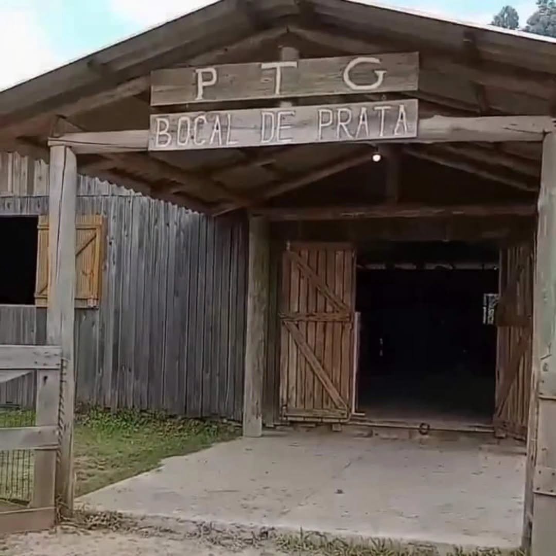 O valor executado é de R$ 90 mil, decorrente de condenação relacionada a dano ambiental.