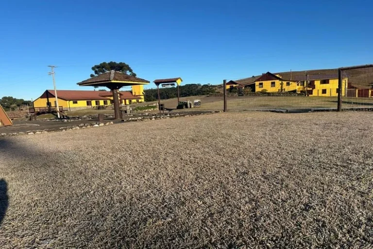 Pinheiro Machado, no Sul do Estado, registrou -5,6ºC, a menor marca do dia, em um dos amanheceres mais frios do ano até agora.