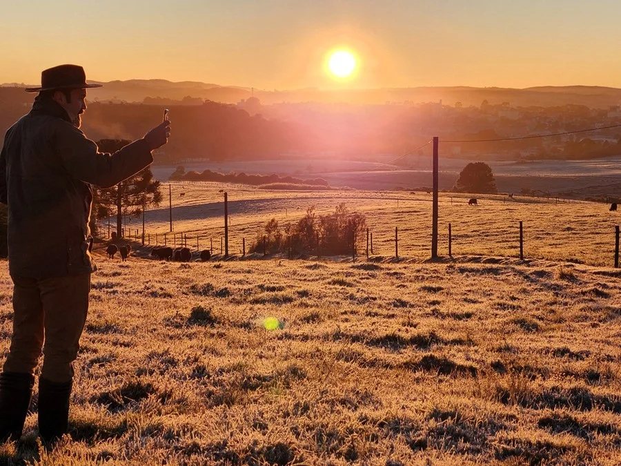 RS terá frio intenso e risco de geada ao amanhecer nesta terça-feira 2 geada morro posto06