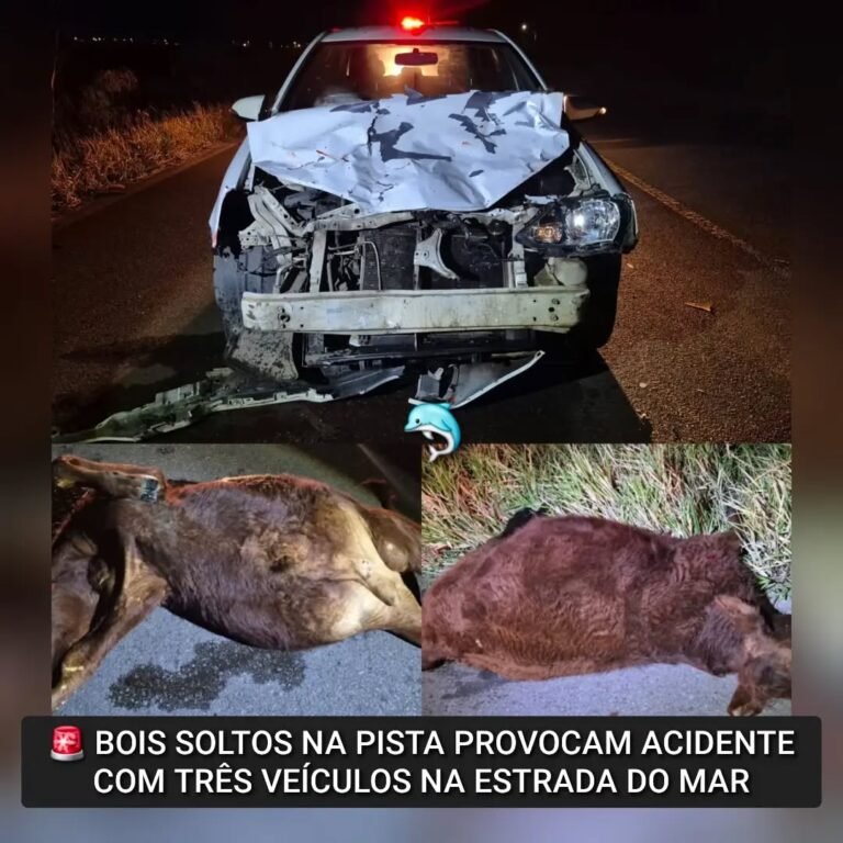Um grave acidente de trânsito envolvendo pelo menos três veículos aconteceu na noite deste domingo, dia cinco de julho, no quilômetro 77 da rodovia ERS-389, a Estrada do Mar, na localidade de Praia Paraíso, no município de Torres.
