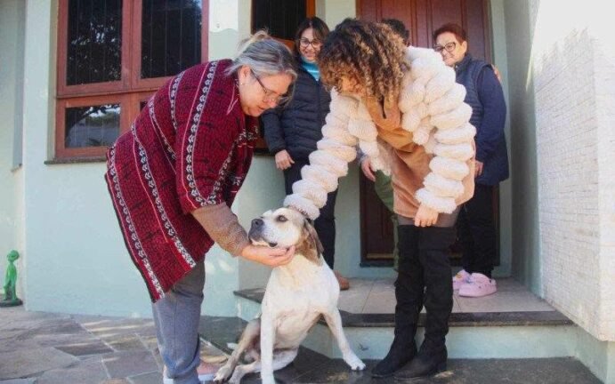 Lealdade que emociona: Cão que "velou" tutora após atropelamento na RS-240 ganha Novo Lar 5 734942152 862934343166807 4827293699050873656 n