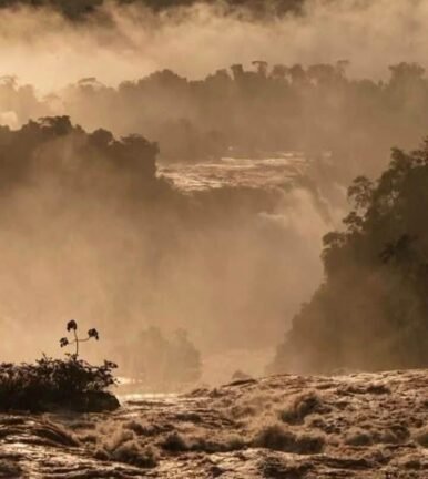 Cataratas do Iguaçu registram vazão quatro vezes acima da média e impressionam visitantes. 3 736154101 2431590953986458 7151136867471886789 n