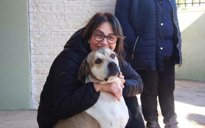 Lealdade que emociona: Cão que "velou" tutora após atropelamento na RS-240 ganha Novo Lar 2 739578945 27436919472669451 968316977922085947 n