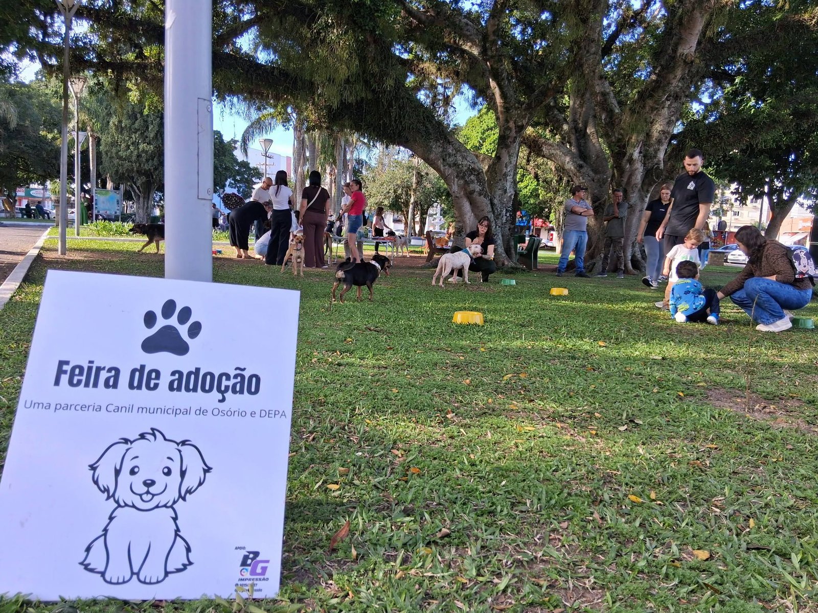 FEIRA DE ADOÇÃO RESPONSÁVEL REGISTRA A ADOÇÃO DE DOIS CÃES EM OSÓRIO 1 No último sábado (18/07), durante a manhã, ocorreu mais uma edição da Feira de Adoção Responsável de Cães, na praça Nossa Senhora da Conceição, no centro de Osório.
