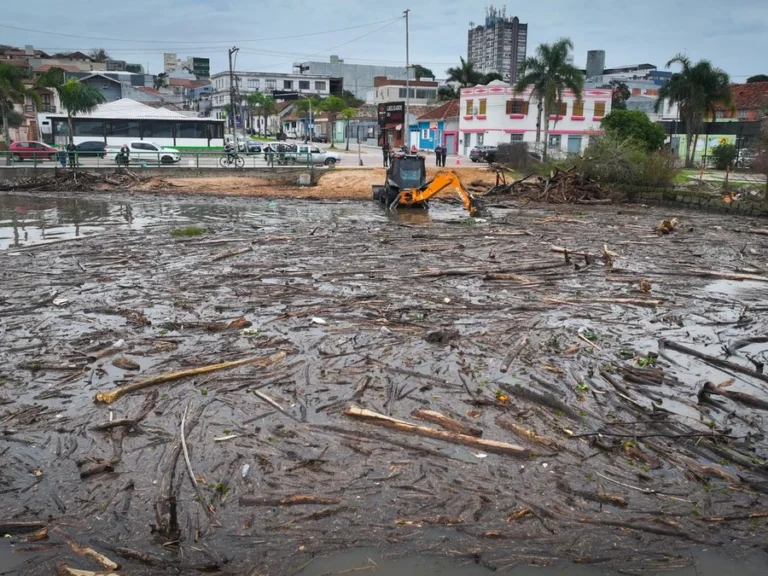Até o momento, Prefeitura fez a remoção de 35 cargas de galhos, árvores e sedimentos em geral.