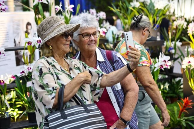86ª Festa das Flores de Joinville abre venda de ingressos on-line com preços especiais no primeiro lote 3 dea29f6a dbd0 488c 99bb 7116caed47ef