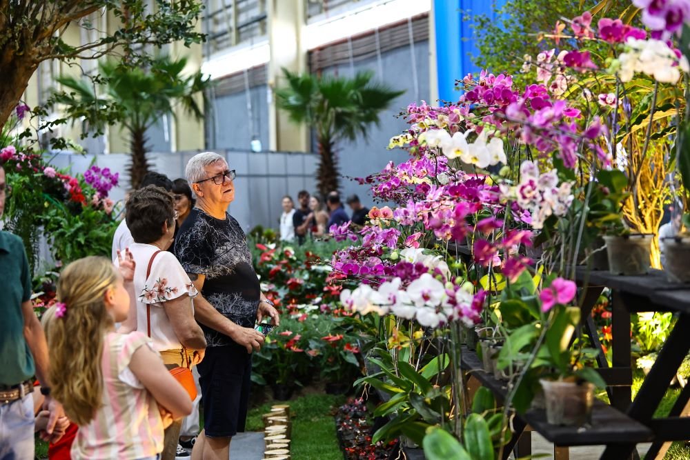 86ª Festa das Flores de Joinville abre venda de ingressos on-line com preços especiais no primeiro lote 1 Já estão à venda os ingressos para a 86ª Festa das Flores de Joinville, que ocorre de 17 a 22 de novembro, na Expoville.
