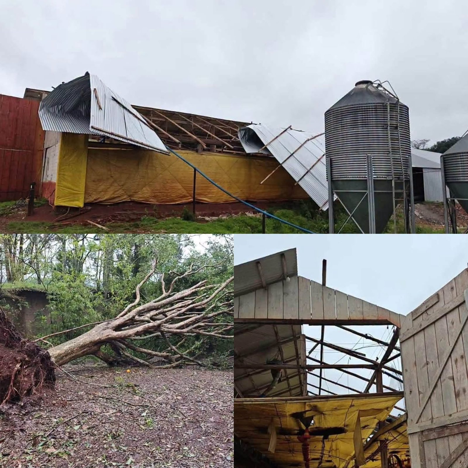 VENTANIA CAUSA DESTRUIÇÃO NO INTERIOR DE UNIÃO DA SERRA, NO RS 1 Uma forte ventania atingiu o interior de União da Serra, no Rio Grande do Sul, na manhã desta quinta-feira (13), provocando estragos em diversas propriedades, especialmente na região da Linha Nona.