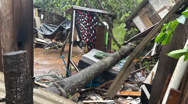 Criança morre após ser atingida por árvore enquanto dormia durante temporal em Porto Alegre 3 Captura de tela 2026 08 28 152942
