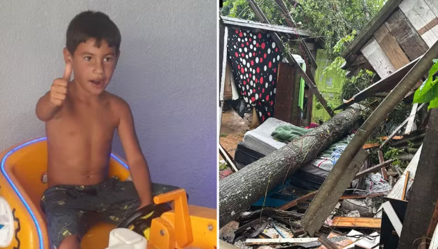Criança morre após ser atingida por árvore enquanto dormia durante temporal em Porto Alegre 1 Criança morre após ser atingida por árvore enquanto dormia em Porto Alegre.