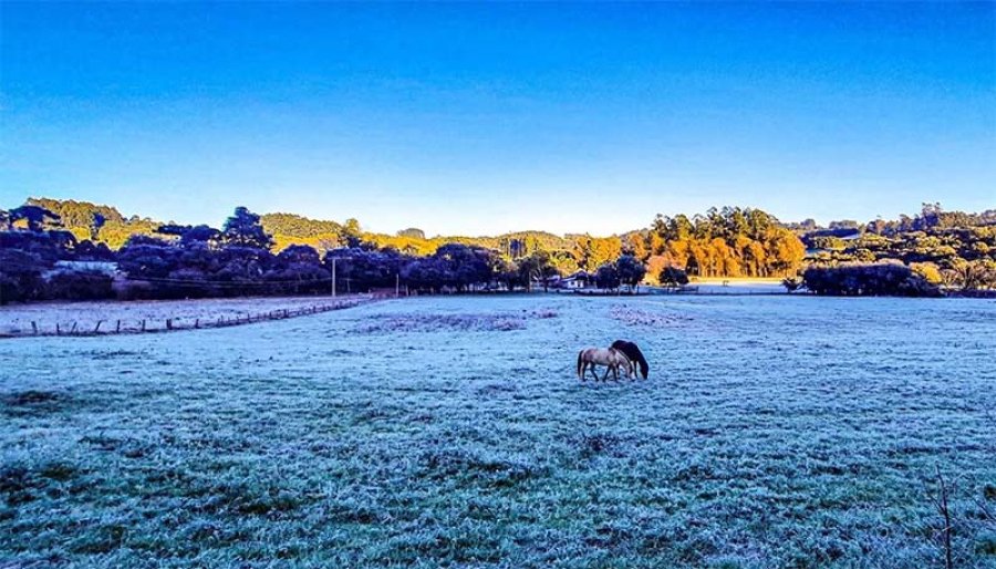 Temperaturas caem abaixo de zero em 36 municípios do RS 1 nova massa de ar frio se aproxima do rio grande do sul