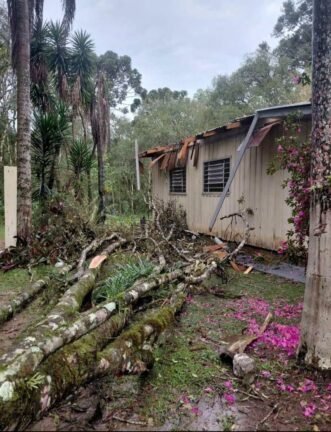 VENDAVAL DESTRUTIVO: SUSPEITA DE TORNADO DEIXA RASTRO DE DESTRUIÇÃO NO INTERIOR DE PRUDENTÓPOLIS E PINHÃO (PR) 2 800066841 2028942911140981 2149514828465527723 n