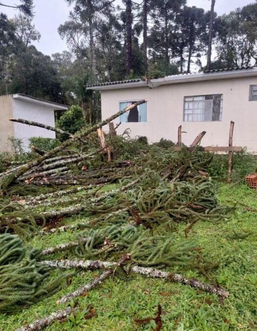 VENDAVAL DESTRUTIVO: SUSPEITA DE TORNADO DEIXA RASTRO DE DESTRUIÇÃO NO INTERIOR DE PRUDENTÓPOLIS E PINHÃO (PR)