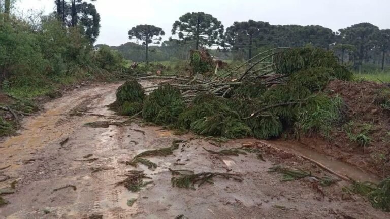 VENDAVAL DESTRUTIVO: SUSPEITA DE TORNADO DEIXA RASTRO DE DESTRUIÇÃO NO INTERIOR DE PRUDENTÓPOLIS E PINHÃO (PR) 4 803103720 1077271914684595 7141447242760777065 n