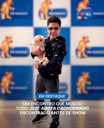 Zezé Di Camargo encontrou um cachorrinho na porta do camarim e se encantou pelo pequeno. 2 813421351 1861472681690653 7258317780427538673 n 1