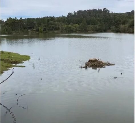Alerta de Colapso: Fissuras em barragem mobilizam técnicos e deixam 170 moradores fora de casa em São Marcos 3 821523429 940568395791071 2298329895289379601 n