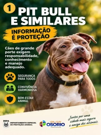 DEPA de Osório Alerta  para os Cuidados com Cães de Grande Porte: Responsabilidade, Prevenção e Segurança