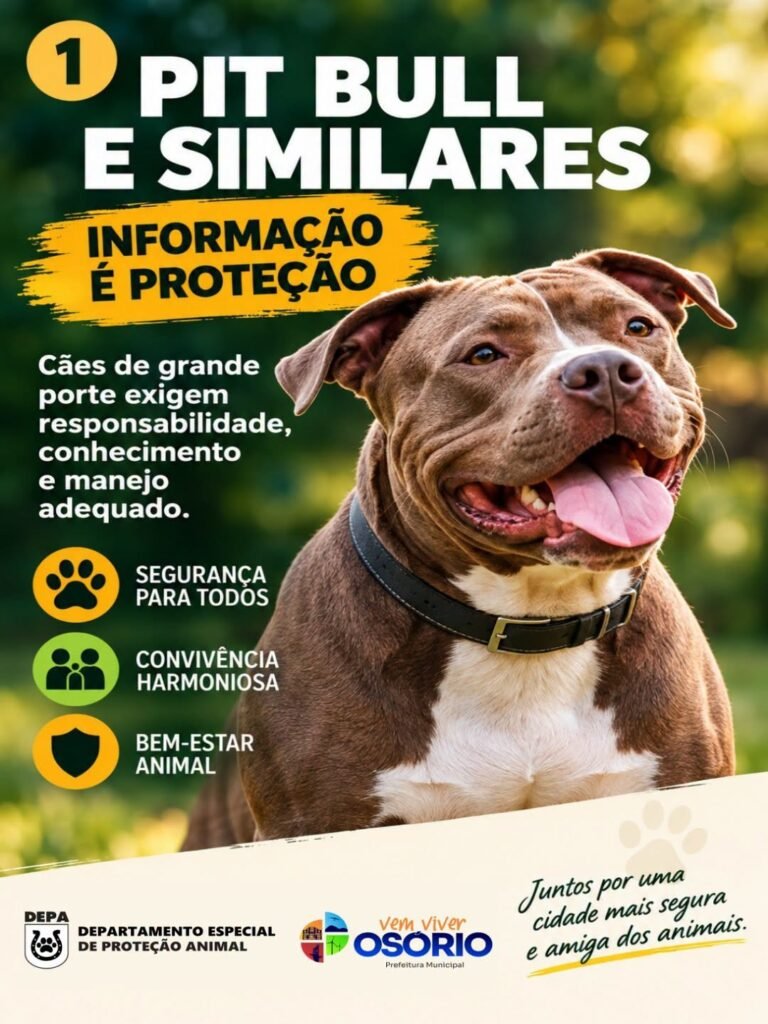 O Departamento de Atenção Especial aos Animais (Depa) de Osório, vem se deparando, cada vez mais, com casos de maus-tratos, abandono e imperícia envolvendo cães de porte grande.