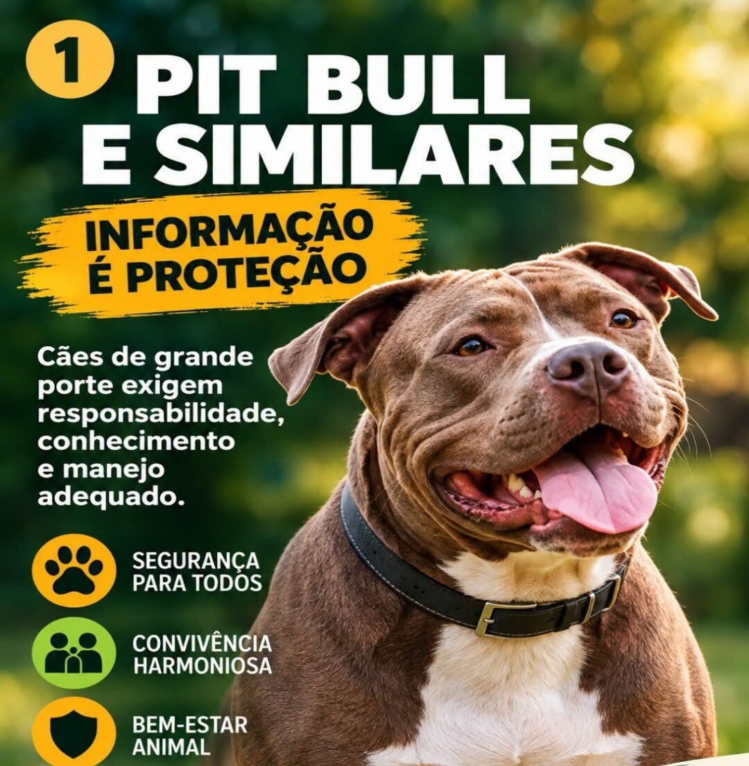 DEPA de Osório Alerta para os Cuidados com Cães de Grande Porte: Responsabilidade, Prevenção e Segurança 1 O Departamento de Atenção Especial aos Animais (Depa) de Osório, vem se deparando, cada vez mais, com casos de maus-tratos, abandono e imperícia envolvendo cães de porte grande.