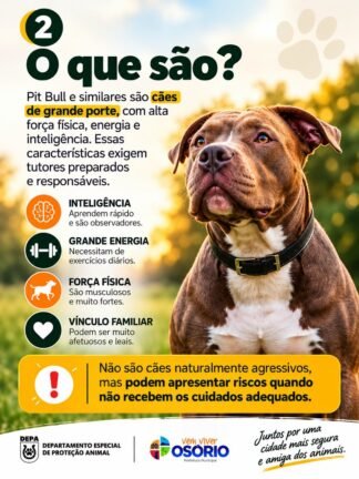 DEPA de Osório Alerta para os Cuidados com Cães de Grande Porte: Responsabilidade, Prevenção e Segurança 14 2 1