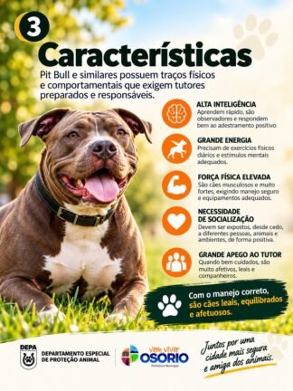 DEPA de Osório Alerta para os Cuidados com Cães de Grande Porte: Responsabilidade, Prevenção e Segurança 15 3 1