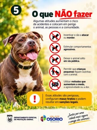 DEPA de Osório Alerta para os Cuidados com Cães de Grande Porte: Responsabilidade, Prevenção e Segurança 17 5