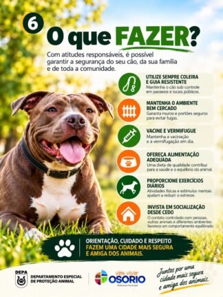 DEPA de Osório Alerta para os Cuidados com Cães de Grande Porte: Responsabilidade, Prevenção e Segurança 18 6
